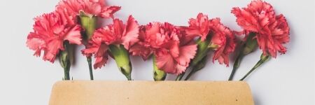 Wie verfasst man einen Wunschbrief an das Universum?