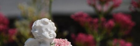 Schutzengel Lelahel: Heilung, Liebe und <i>Licht</i>