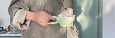 Die Ratte im chinesischen Horoskop: Persönlichkeit