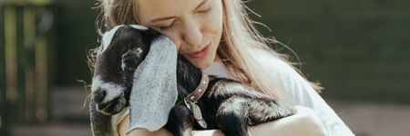 Die Ziege im chinesischen Horoskop: Charakter & Bedeutung