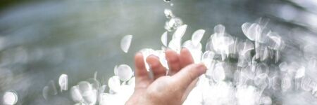 Fische-Saison: Taucht ein!