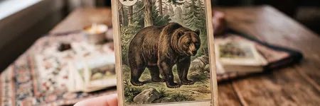 Der Bär im Lenormand-Tarot: Bedeutung