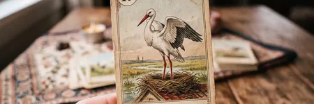 Der Storch im Lenormand-Tarot: Bedeutung