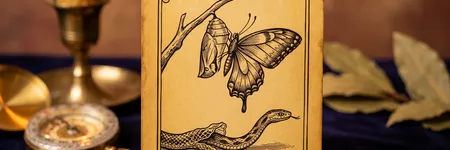 Die Wandlung, Karte 16 des Orakels der Triade