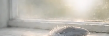 Toter Vogel im Haus: Was bedeutet das spirituell?