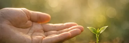 Die Lebenslinie in der Hand: Was bedeutet sie?