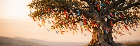 Der Wunschbaum: Geschichte, Bedeutung und Tradition