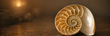Goldener Schnitt: Bedeutung der göttlichen Proportion