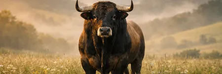 Wie man einen Stier in 5 Sätzen auf die Palme bringt ♉🔥