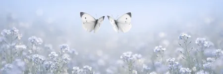 Wie man einen Zwilling in 5 Sätzen auf die Palme bringt ♊🦋
