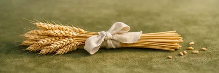 Die Wahrheit, die die Jungfrau NICHT hören will ♍🌾