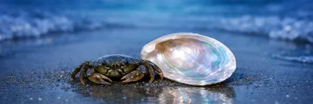 Die Wahrheit, die ein Krebs NICHT hören will ♋🦀
