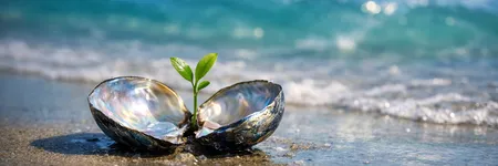Was der Fisch verlernen muss, um zu wachsen ♓🌱